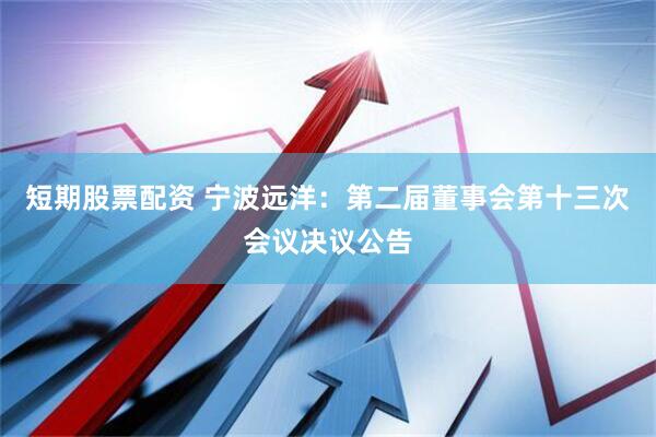 短期股票配资 宁波远洋：第二届董事会第十三次会议决议公告