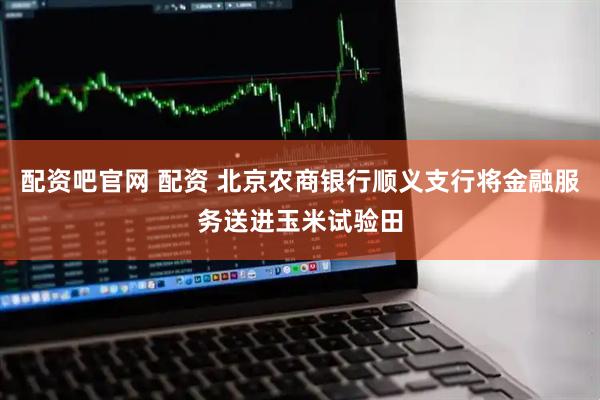 配资吧官网 配资 北京农商银行顺义支行将金融服务送进玉米试验田