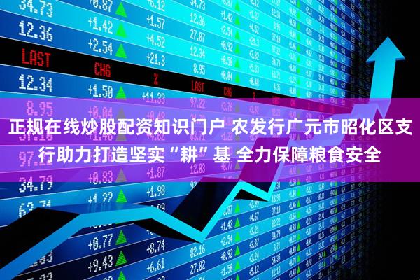 正规在线炒股配资知识门户 农发行广元市昭化区支行助力打造坚实“耕”基 全力保障粮食安全