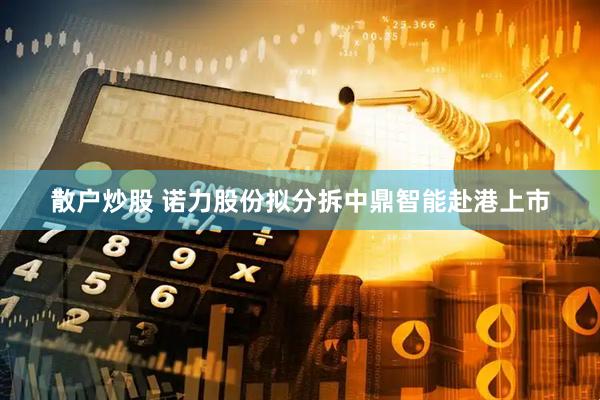 散户炒股 诺力股份拟分拆中鼎智能赴港上市