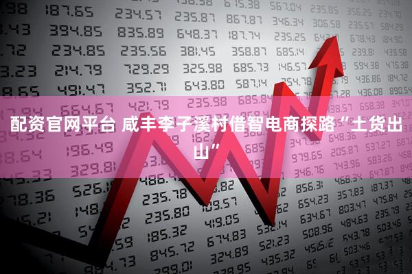 配资官网平台 咸丰李子溪村借智电商探路“土货出山”